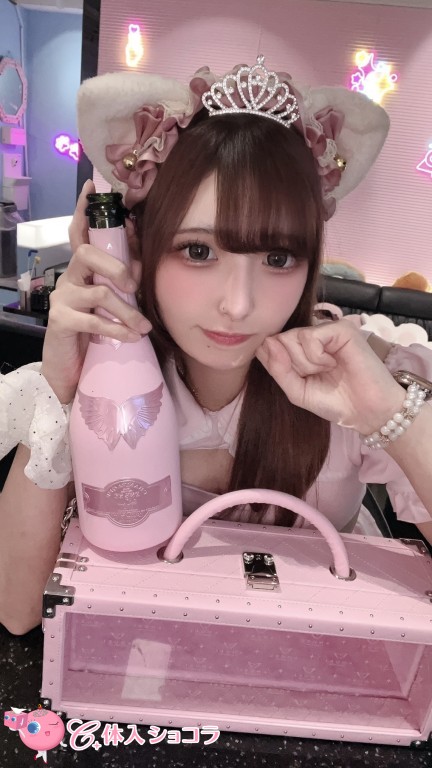 夜遊びショコラ選手権 #ねこはじ - ねこはじめました - ここみの投稿