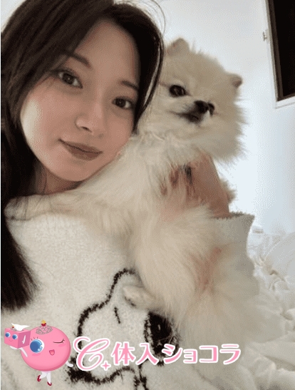 夜遊びショコラ選手権 MAVERICK(マーベリック) 京本りんかの投稿