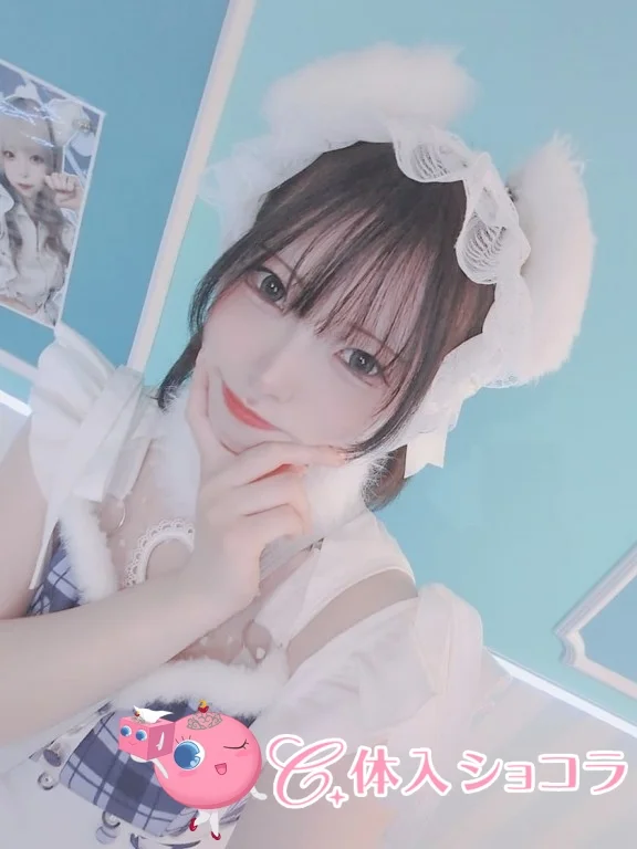 歌舞伎町・【朝・昼・夜】わがはいは ねこである｜ツナさんの夜遊びショコラ選手権｜写真