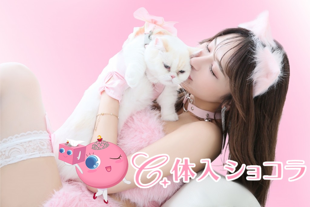 夜遊びショコラ選手権 ギラギラガールズ ミィタンの投稿